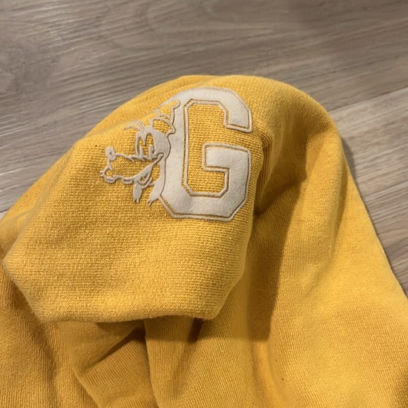 Disney Resort Embroidered Goofy Hoodie - Picture 4 of 4